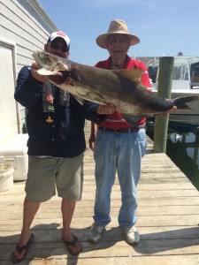 Wrightsville Beach Big Cobia